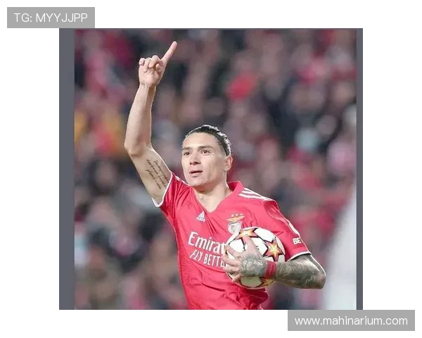 努涅斯：从南美新星到英超焦点的成长轨迹与质疑解析