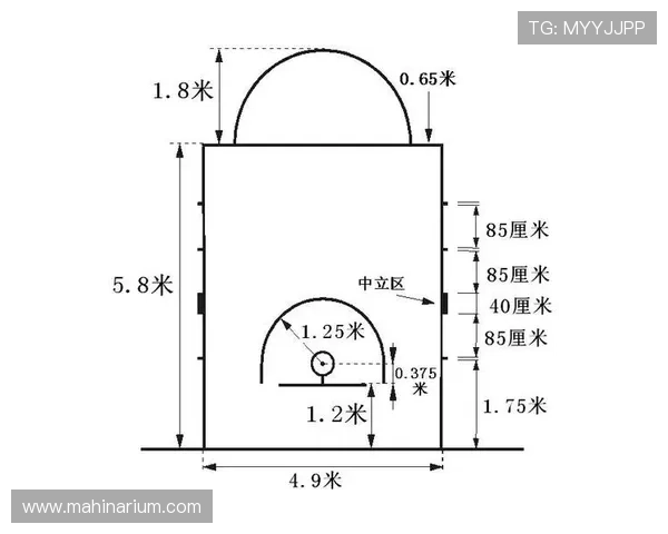 新手教学型：NBA与FIBA罚球规则有哪些不同？新手必看解析指南